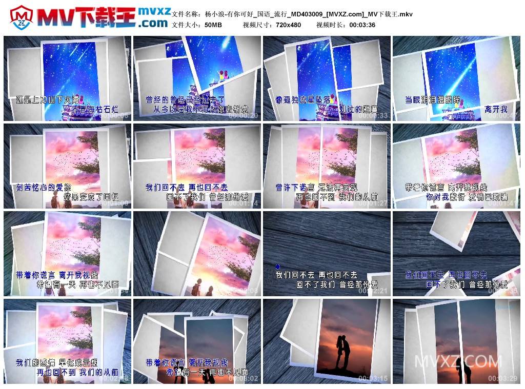 杨小浪-有你可好_国语_流行_MD403009